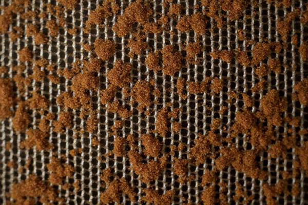 茶色い油汚れがこびりついた換気扇フィルター